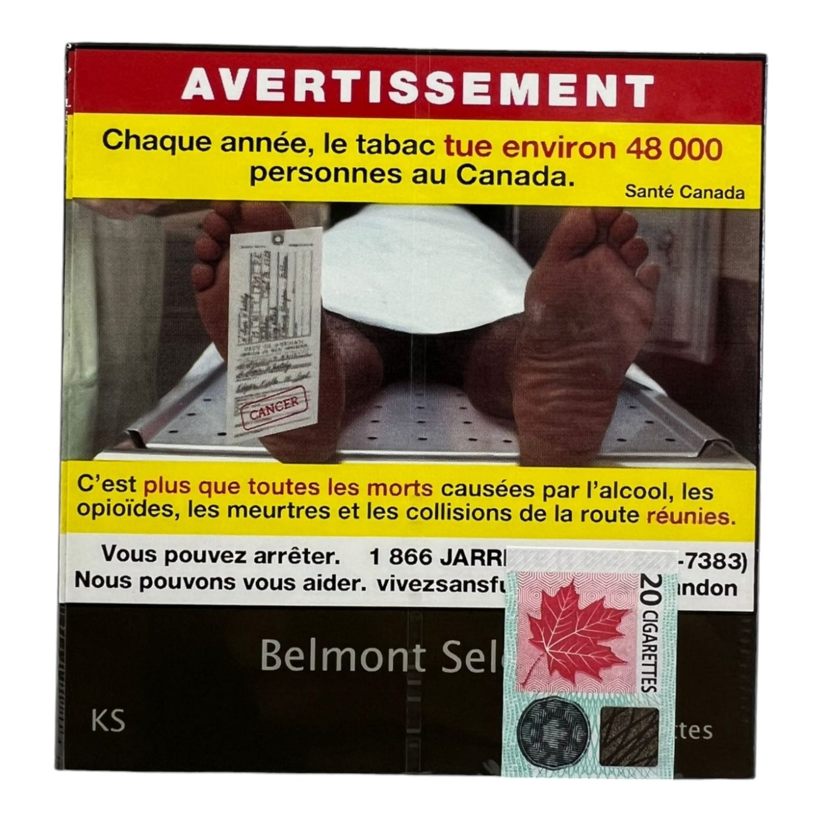 BELMONT SELECT KS SILVER