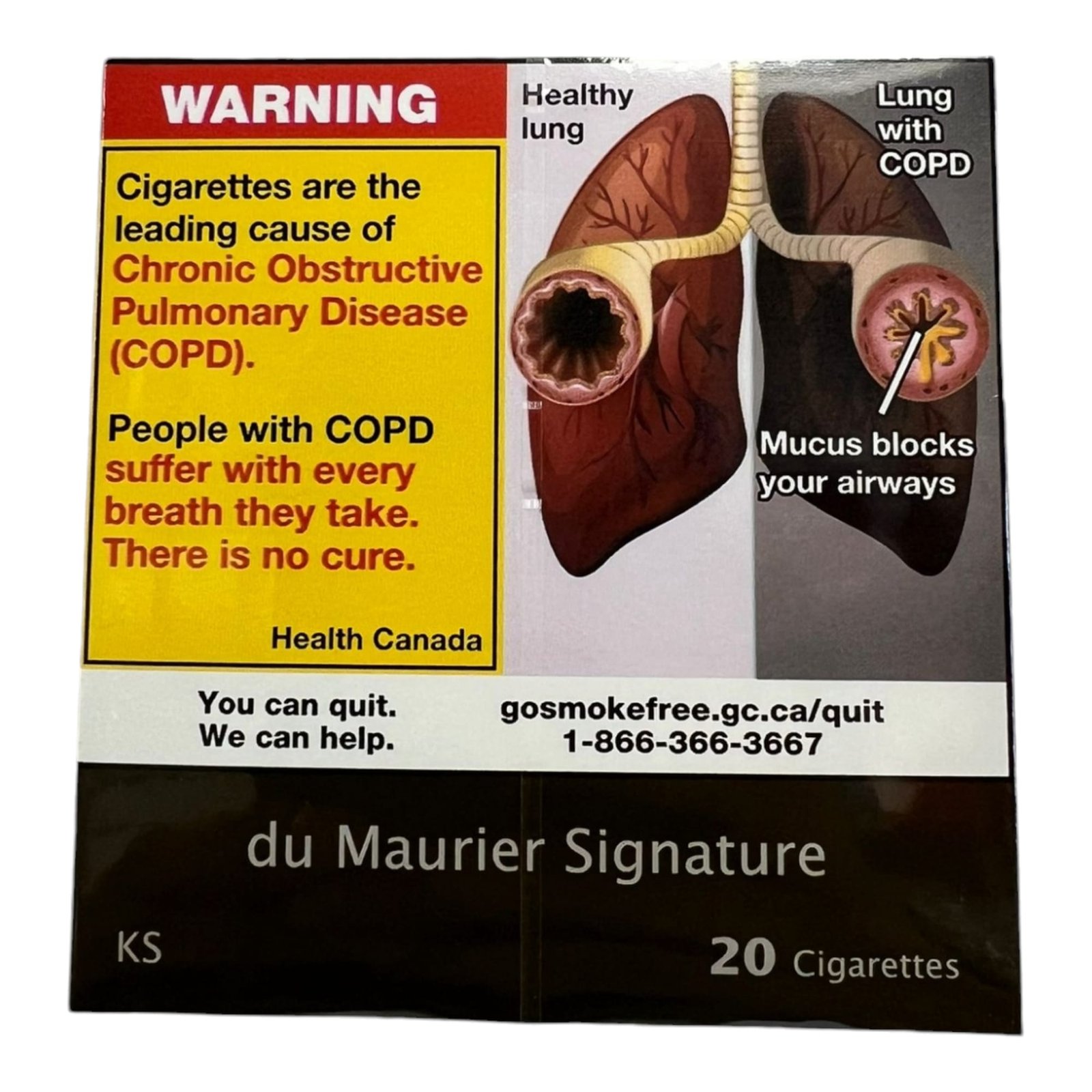 DU MAURIER SIGNATURE KS